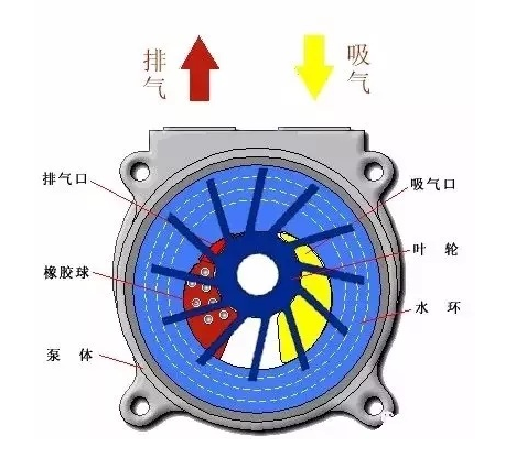 廣東水環(huán)式真空泵
